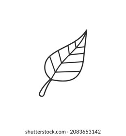 Leaf Black outline vector icon, editable stroke. Contour line pictogram on white background.