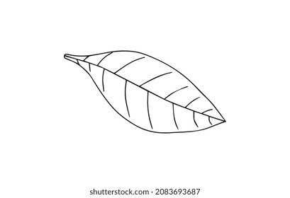 Leaf Black outline vector icon, editable stroke. Contour line pictogram on white background.