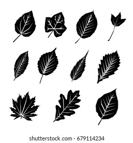 Leaf black silhouette icon set. leaves vector illustration eps