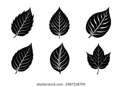 Leaf black silhouette vector illustration