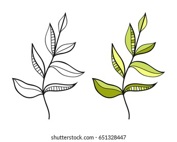 Leaf. Black and white illustration for coloring book. Doodle object.