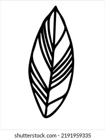Leaf. Black and white sketch, logo, clipart. Vector illustration hand-drawn. Isolated object on a white background.