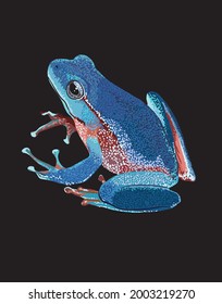 Leaf Blue Tree Frog, Litoria Phyllochroa, Amphibian, Exotic, Vector, Isolated  Black Background