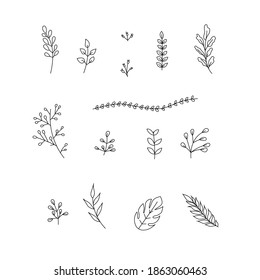 Leaf Botanical Clipart 15 Hand Drawn Leaf branches Clipart. Vector illustration