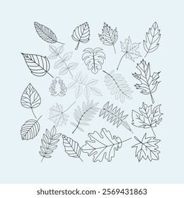 Leaf Botanical Clipart Bundle, Foliage Line Art Clip Art, Simple Nature Hand Drawn Line Art, Monochromatic Plant Illustration PNG