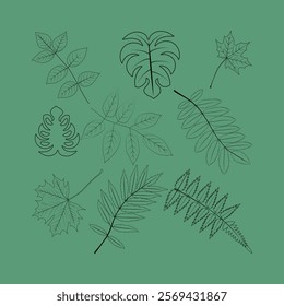 Leaf Botanical Clipart Bundle, Foliage Line Art Clip Art, Simple Nature Hand Drawn Line Art, Monochromatic Plant Illustration PNG