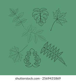 Leaf Botanical Clipart Bundle, Foliage Line Art Clip Art, Simple Nature Hand Drawn Line Art, Monochromatic Plant Illustration PNG