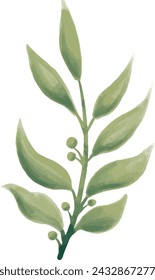 leaf, botanical, drawing, nature, flora, plant, tree, art, bean, tree branch, berry, green