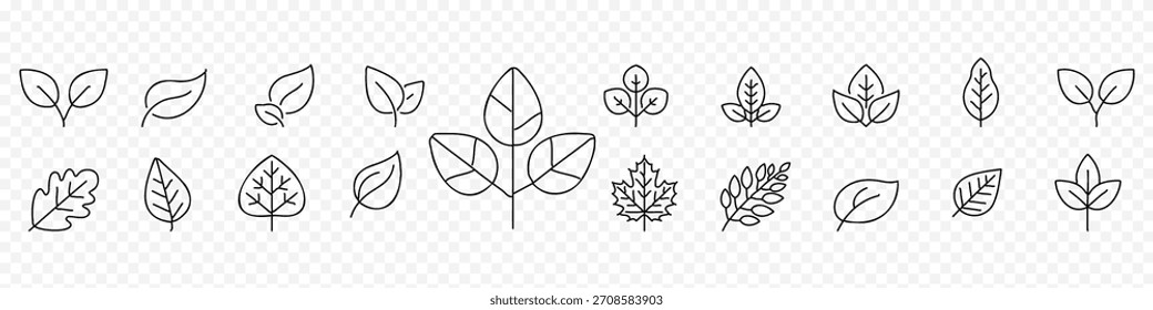 Conjunto de iconos de líneas botánicas y de hojas: símbolos de contorno editables de plantas, follaje, naturaleza y diseño ecológico, conjunto de iconos de hojas, varios tipos de hojas