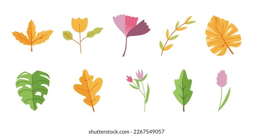 Leaf Botanical Spring Vector Set