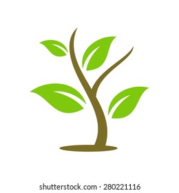 leaf botany ecology logo and icon template