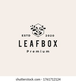 leaf box hipster vintage logo vector icon illustration
