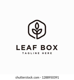 Leaf box logo design inspiration - vector