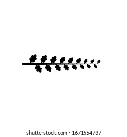 Leaf branch black logo icon design vector illustration	
