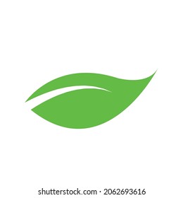 leaf branch design icon vectors illustration web