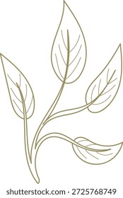 Blätterzweig mit fünf Blättern und zarten Venen in sauberer Linie Kunst gezeichnet. Symbol für Wachstum, Natur, Öko-Wellness, und organische Harmonie. Cartoon, Vektorgrafik.