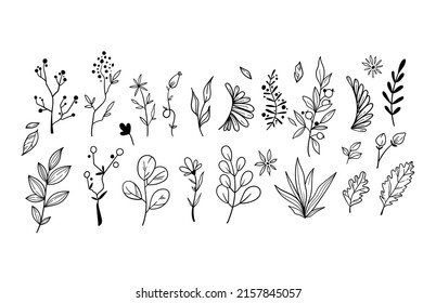 Leaf, branch, flower isolated hand drawn clip art bundle, plant parts floral items, natural botanical design decorative elements on white, vector images