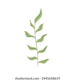 Vector de Plantilla de Diseño gráfico de rama de hoja en blanco.