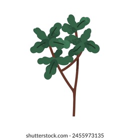 Leaf branch. Green leaves, exotic tropical twig, stalk, natural decoration. Foliage jade lucky plant. Modern botanical floral design element. Flat vector illustration isolated on white background