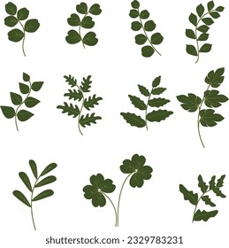 Leaf Branch, hand draw vector set elements in minimalist Design illustration illustrations  foe decoration for wedding or birthday card