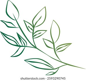 leaf branch icon. Cartoon of leaf branch vector icon for web design isolated on white background .