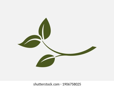 leaf branch icon. eco, environment and plant symbol. nature design element. vector color image