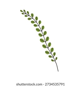 Leaf branch. Leaves sprig. Leafy plant twig with green foliage. Botanical design element. Natural decor, bouquet filler, greenery decoration. Flat vector illustration isolated on white background