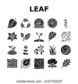 Leaf Branch Natural Foliage Tree Icons Set Vector. Organic Freshness Leaf And Flower, Vegetarian Food Ingredient And Herbal Nature Environment. Oak Autumn Forest Glyph Pictograms Black Illustrations