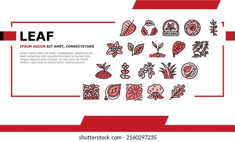 Leaf Branch Natural Foliage Tree Landing Web Page Header Banner Template Vector. Organic Freshness Leaf And Flower, Vegetarian Food Herbal Nature Environment. Oak Autumn Forest Illustration