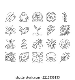 Leaf Branch Natural Foliage Tree Icons Set Vector. Organic Freshness Leaf And Flower, Vegetarian Food Ingredient And Herbal Nature Environment. Oak Autumn Forest Black Contour Illustrations