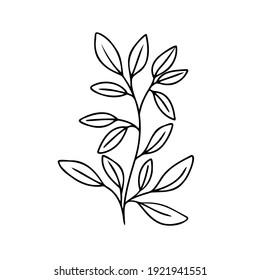 Leaf branch vector outline silhouette. Eco icon Modern Minimalist black leaves