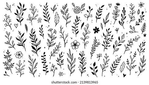Rustikales Set aus dem Zweig. Handgezeichnetes, doodle-Stilblatt. Blühender Ast, Lorbeerblume für die Grenze, Trennelement. Vektorgrafik.
