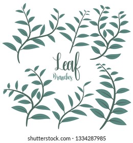 Leaf branches vector design illustration isolated on white background