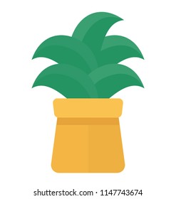 
A leaf with broad and thick leaves in a pot symbolizing aspidistra elatior 
