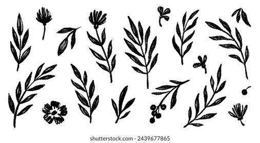 Leaf brush hand drawn ink elements. Black crayon texture brush abstract olive, flower, leaf abstract hand drawn illustration. Brush branch, botanical floral silhouette vector illustration