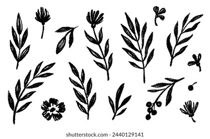 Leaf brush hand drawn ink elements. Black crayon texture brush abstract olive, flower, leaf abstract hand drawn illustration. Brush branch, botanical floral silhouette vector illustration