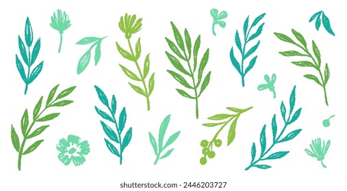 Leaf brush hand drawn ink elements. Green crayon texture brush abstract olive, flower, leaf abstract hand drawn illustration. Brush branch, botanical floral silhouette vector illustration