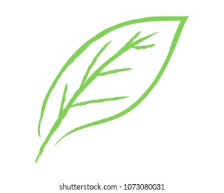 Leaf brush sketch vector illustration 
