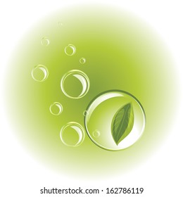 Leaf and bubbles on the green background. Vector
