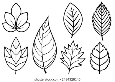 Ilustración de arte de Paquete de hojas ideal para proyectos inspirados en la naturaleza y las plantas