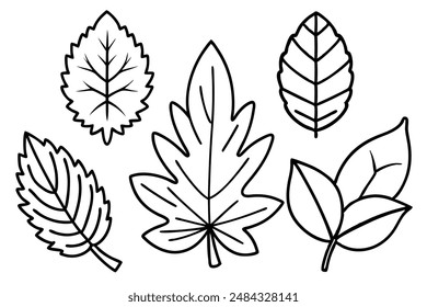 Leaf Paket Art Illustration verwandelt Blattarrangements in Elegantkunst