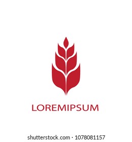 Leaf business logo vector. Design red leaf on white background. Design for print for company identity. Set 1