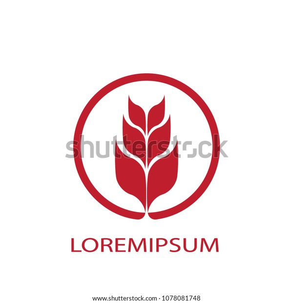 Leaf.\
business logo vector. Design red leaf circle on white background.\
Design for print for company identity. Set\
1