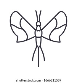 leaf butterfly insect over white background, line detail style icon, vector illustration