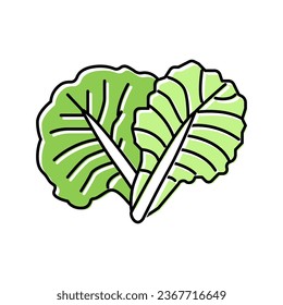 leaf cabbage color icon vector. leaf cabbage sign. isolated symbol illustration