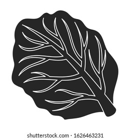 Leaf of cabbage vector icon.Black,simple vector icon isolated on white background leaf of cabbage .