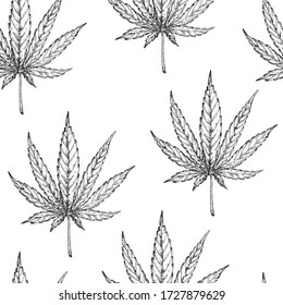 Leaf of cannabis, hemp sketch. Vector floral seamless pattern. Medicinal, cosmetic herbs. Wild eco healing plants. Black and white  hand drawn botanical illustration. Engraving. Pharmacy herbs. 