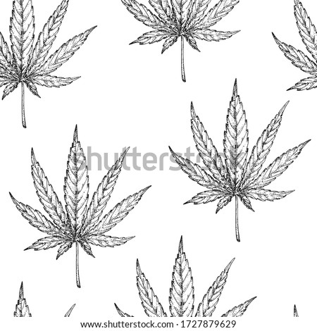 Leaf of cannabis, hemp sketch. Vector floral seamless pattern. Medicinal, cosmetic herbs. Wild eco healing plants. Black and white  hand drawn botanical illustration. Engraving. Pharmacy herbs. 