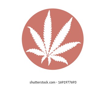 hoja de cannabis en el fondo del color