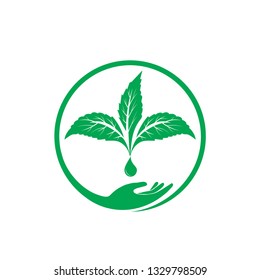 leaf care with circle hand illustration 